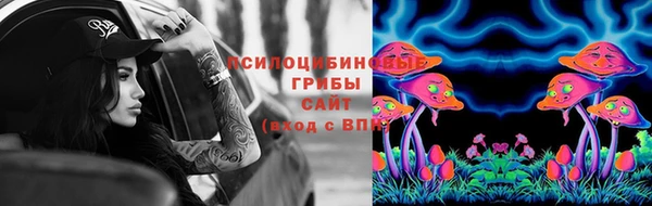 mdpv Туринск