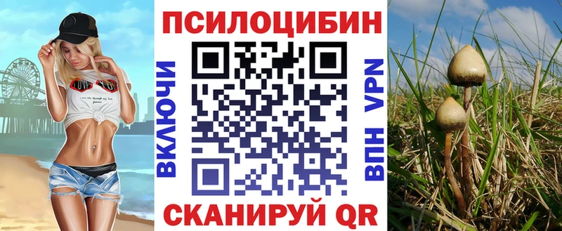 Купить закладки  Ирбит  Галлюциногенные грибы Magic Shrooms 